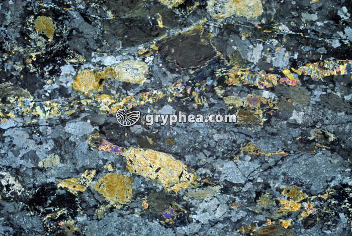 Gabbro Chenaillet LPA x5 - gryphea.com